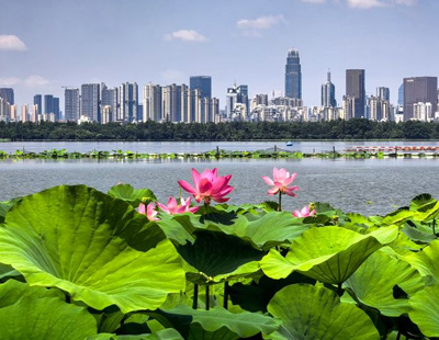 莽小五上树