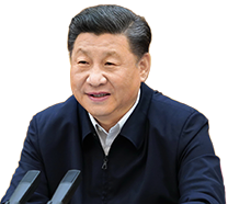 浙江外国语学院党委副书记严齐斌接受审查调查