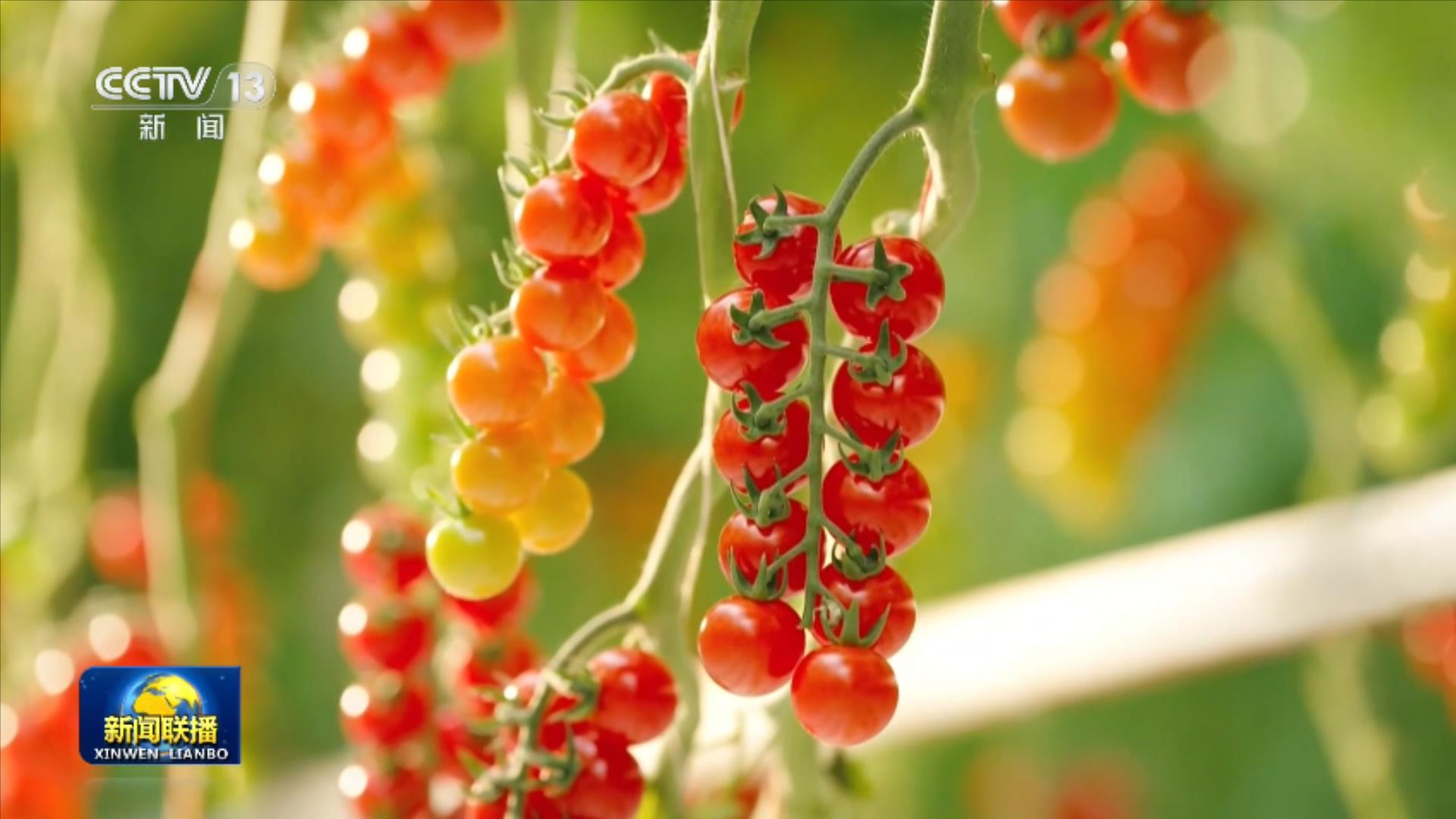 105年历程，世界读懂“中国共产党为什么能”