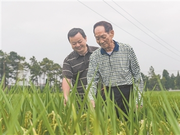 首部安兔兔跑分破万的手机