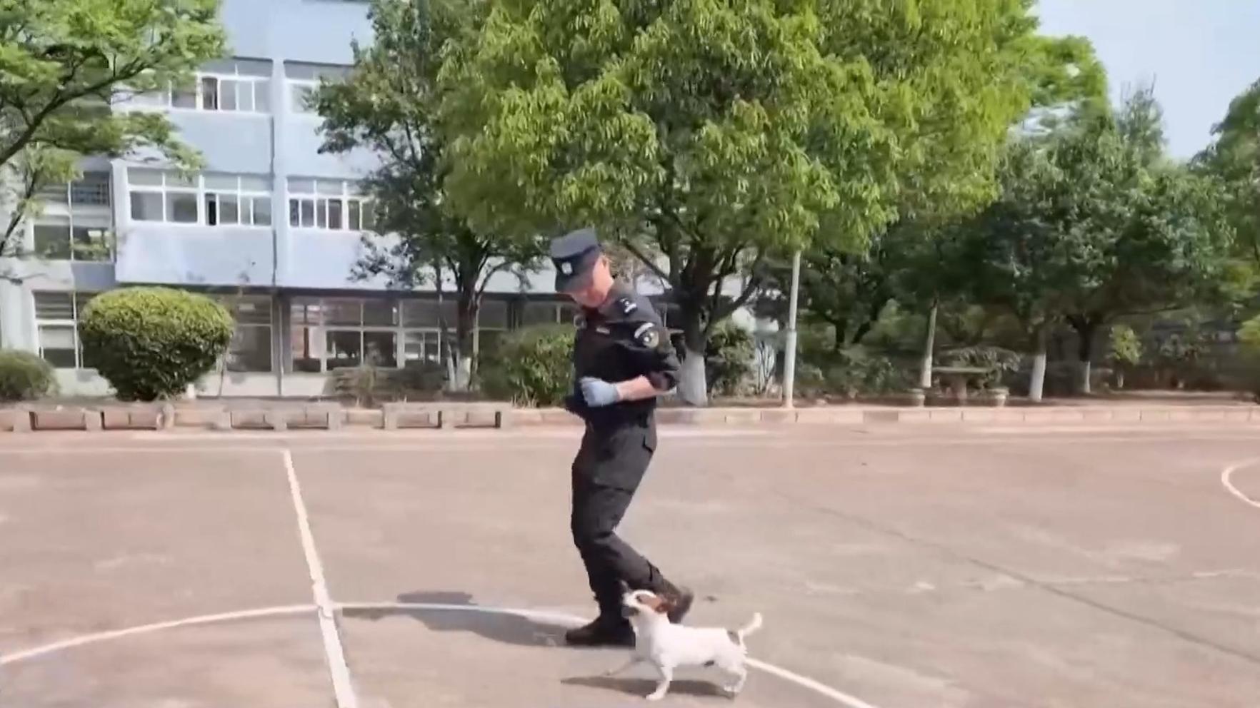 股东套现万被责令购回并上缴价差