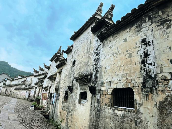 文章模仿向佐动作