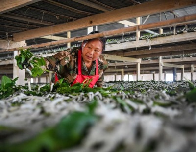 年轻人开始抛弃优衣库
