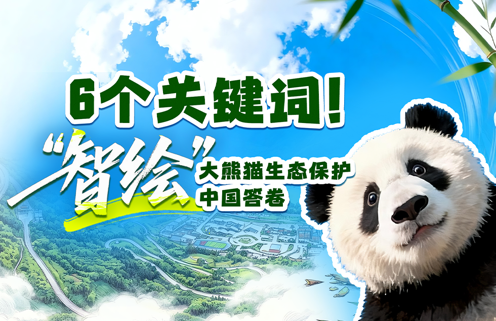 俄罗斯车臣首府发生爆炸致死