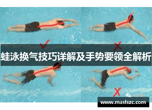 蛙泳换气技巧详解及手势要领全解析